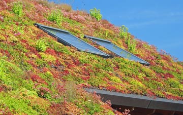 Hole In The Wall living roof systems