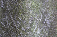 Hole In The Wall fibreglass roof work